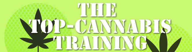 TOP training cannabis