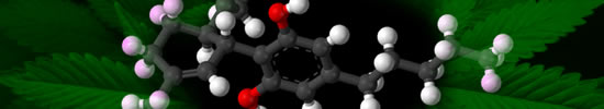 cannabidiol