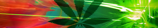 cannabis harddrug?