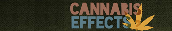 cannabiseffects.org