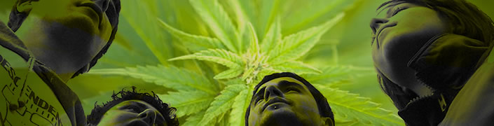 vrienden van overmatige blowers